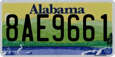 AL license plate 8AE9661