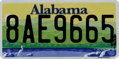 AL license plate 8AE9665
