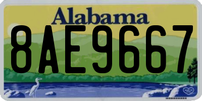 AL license plate 8AE9667
