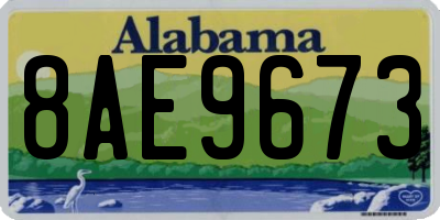 AL license plate 8AE9673
