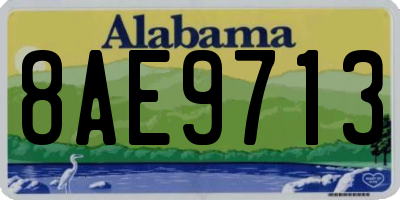 AL license plate 8AE9713