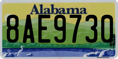 AL license plate 8AE9730