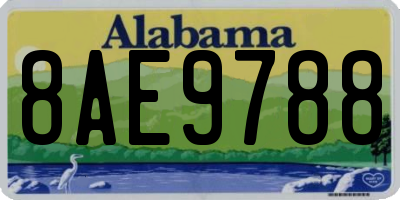 AL license plate 8AE9788