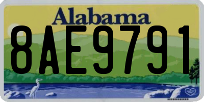 AL license plate 8AE9791