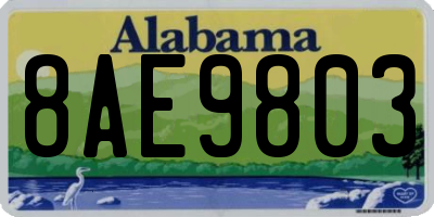 AL license plate 8AE9803