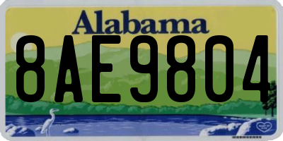 AL license plate 8AE9804