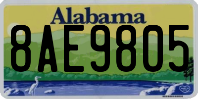 AL license plate 8AE9805