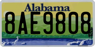 AL license plate 8AE9808
