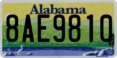AL license plate 8AE9810