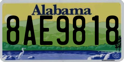 AL license plate 8AE9818