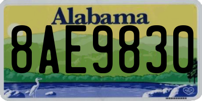 AL license plate 8AE9830