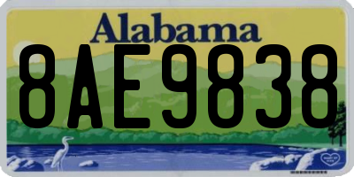 AL license plate 8AE9838