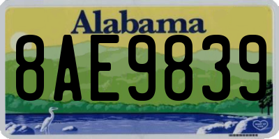 AL license plate 8AE9839