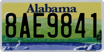 AL license plate 8AE9841