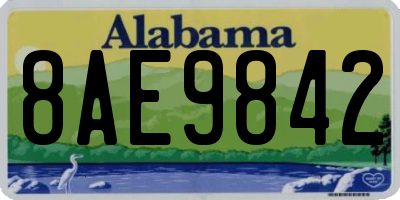 AL license plate 8AE9842