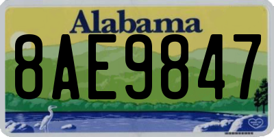 AL license plate 8AE9847