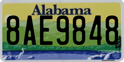 AL license plate 8AE9848