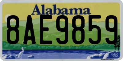 AL license plate 8AE9859