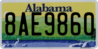 AL license plate 8AE9860