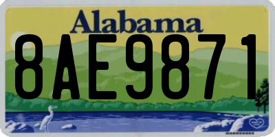 AL license plate 8AE9871