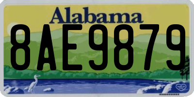 AL license plate 8AE9879