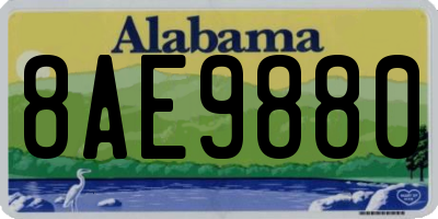 AL license plate 8AE9880