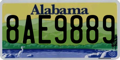 AL license plate 8AE9889