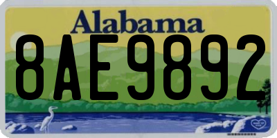 AL license plate 8AE9892