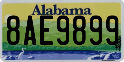 AL license plate 8AE9899