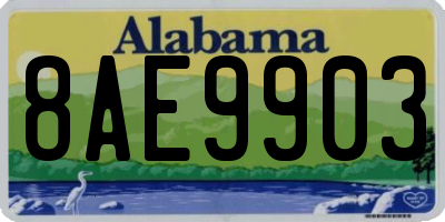 AL license plate 8AE9903