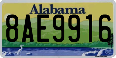 AL license plate 8AE9916