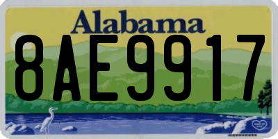 AL license plate 8AE9917
