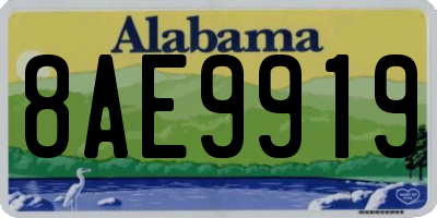 AL license plate 8AE9919