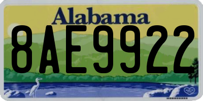 AL license plate 8AE9922