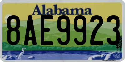 AL license plate 8AE9923