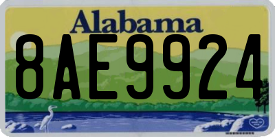 AL license plate 8AE9924