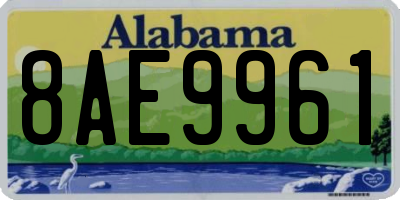 AL license plate 8AE9961