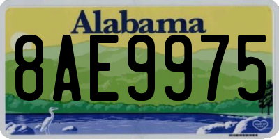 AL license plate 8AE9975