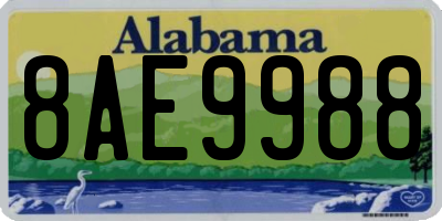 AL license plate 8AE9988