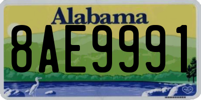 AL license plate 8AE9991