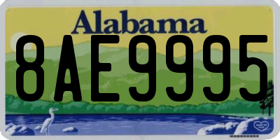 AL license plate 8AE9995