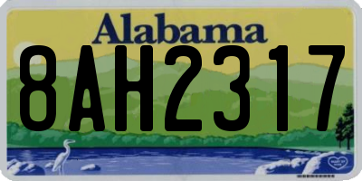 AL license plate 8AH2317