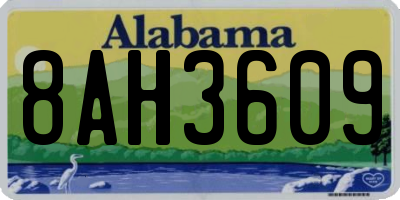 AL license plate 8AH3609