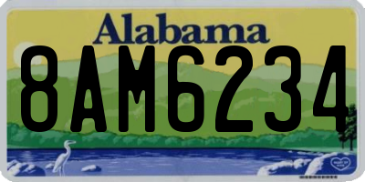 AL license plate 8AM6234