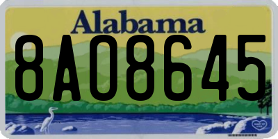 AL license plate 8AO8645