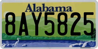 AL license plate 8AY5825