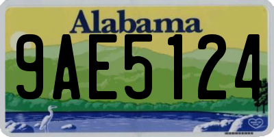 AL license plate 9AE5124