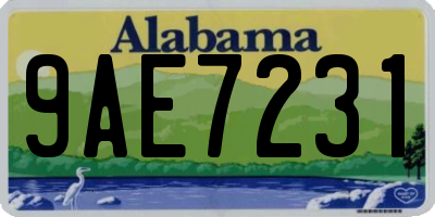 AL license plate 9AE7231