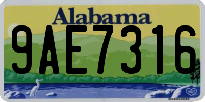 AL license plate 9AE7316