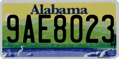 AL license plate 9AE8023